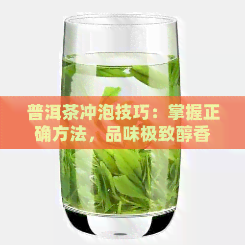 普洱茶冲泡技巧：掌握正确方法，品味极致醇香