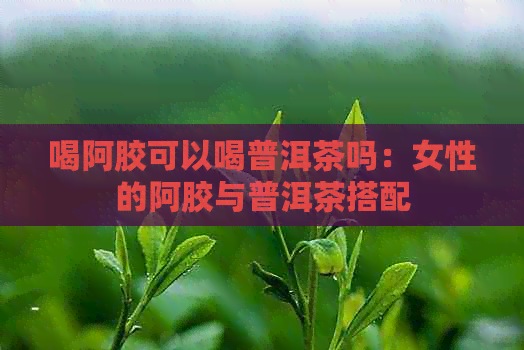 喝阿胶可以喝普洱茶吗：女性的阿胶与普洱茶搭配