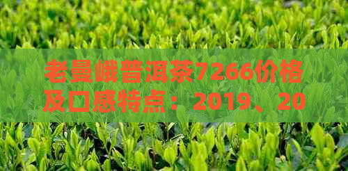 老曼峨普洱茶7266价格及口感特点：2019、2013、2017云南年价格一览