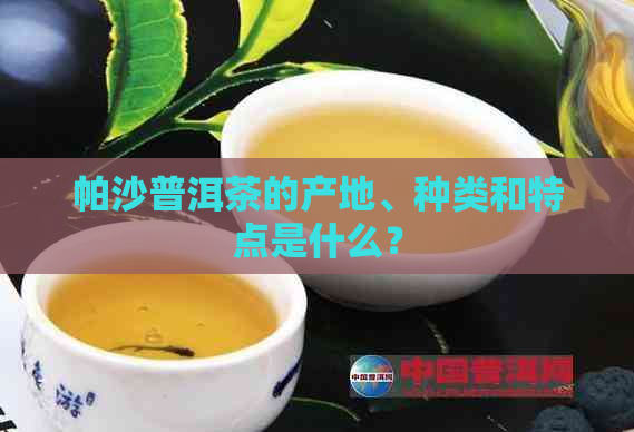 帕沙普洱茶的产地、种类和特点是什么？