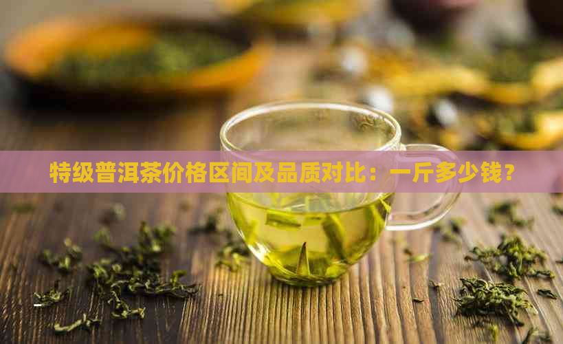 特级普洱茶价格区间及品质对比：一斤多少钱？