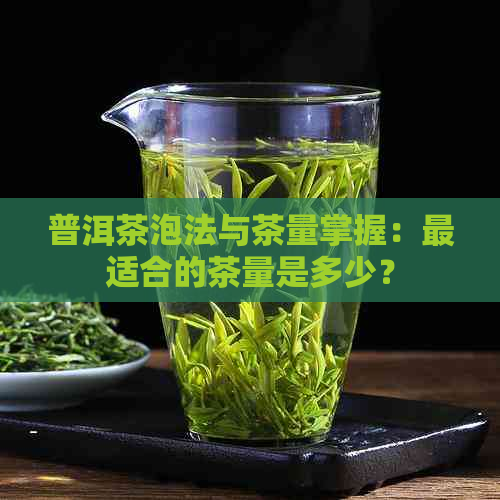 普洱茶泡法与茶量掌握：最适合的茶量是多少？