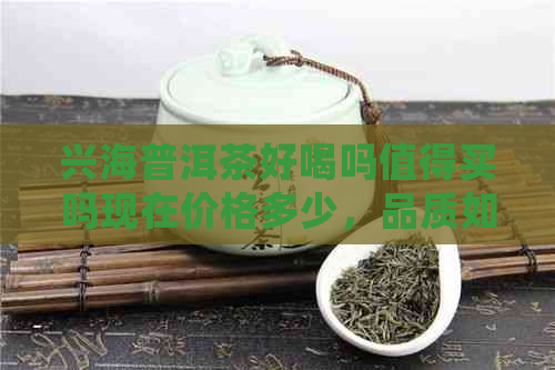 兴海普洱茶好喝吗值得买吗现在价格多少，品质如何？