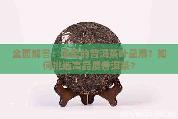 全面解答：哪里的普洱茶叶品质？如何挑选高品质普洱茶？