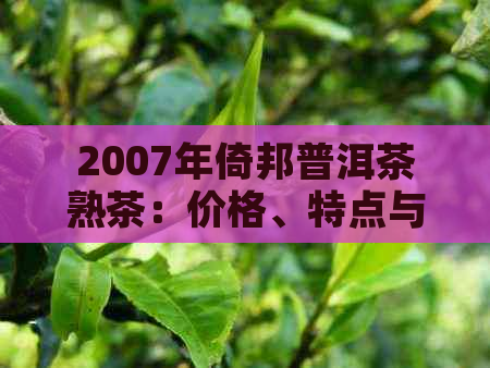 2007年倚邦普洱茶熟茶：价格、特点与产地详解