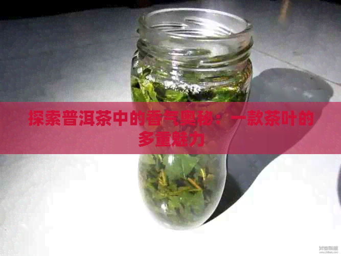 探索普洱茶中的香气奥秘：一款茶叶的多重魅力