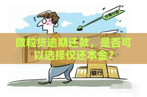 微粒贷逾期还款，是否可以选择仅还本金？