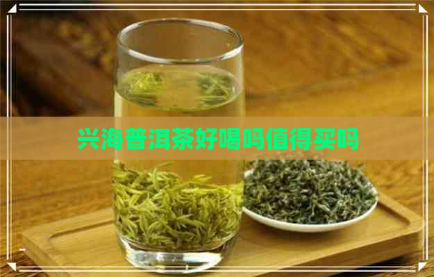 兴海普洱茶好喝吗值得买吗