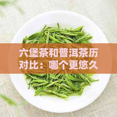 六堡茶和普洱茶历对比：哪个更悠久？