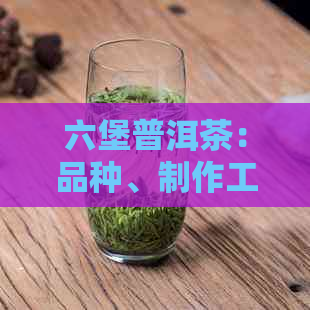 六堡普洱茶：品种、制作工艺、口感及功效全面解析，了解这款茶叶的各个方面