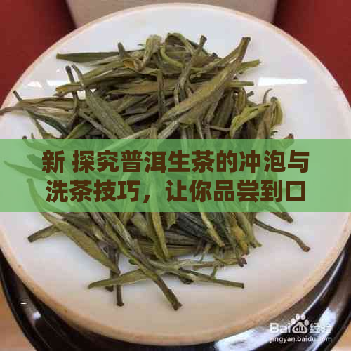 新 探究普洱生茶的冲泡与洗茶技巧，让你品尝到口感