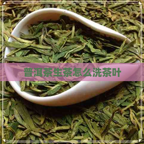 普洱茶生茶怎么洗茶叶