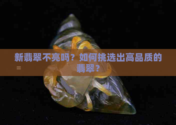 新翡翠不亮吗？如何挑选出高品质的翡翠？