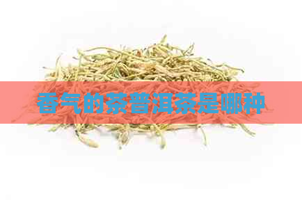 香气的茶普洱茶是哪种