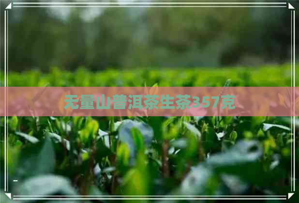 无量山普洱茶生茶357克