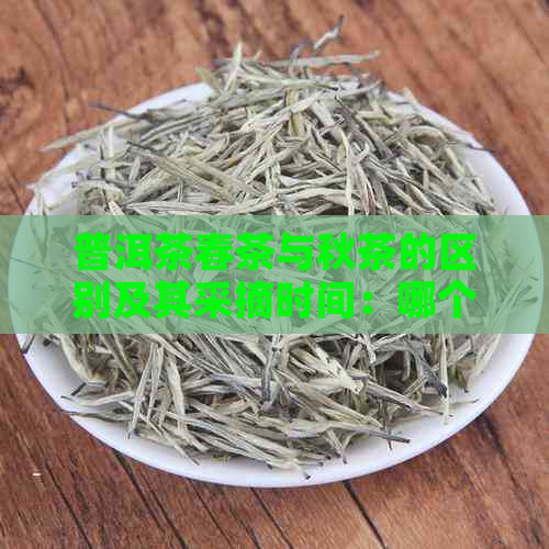 普洱茶春茶与秋茶的区别及其采摘时间：哪个节更优？