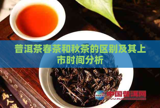 普洱茶春茶和秋茶的区别及其上市时间分析