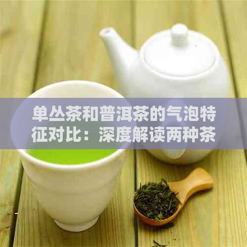 单丛茶和普洱茶的气泡特征对比：深度解读两种茶叶的独特韵味