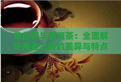 单丛茶与普洱茶：全面解析两者之间的差异与特点，帮助你轻松辨识与选择