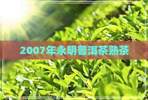 2007年永明普洱茶熟茶