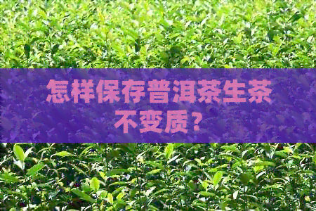 怎样保存普洱茶生茶不变质？