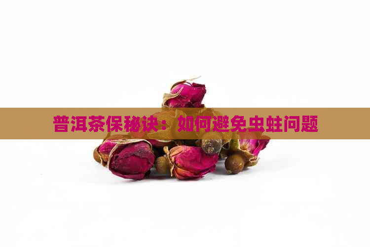 普洱茶保秘诀：如何避免虫蛀问题