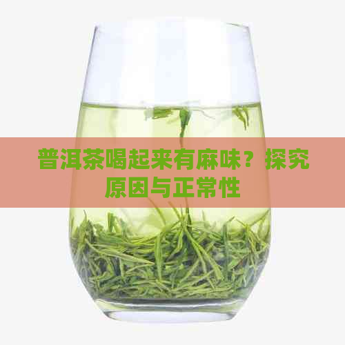 普洱茶喝起来有麻味？探究原因与正常性