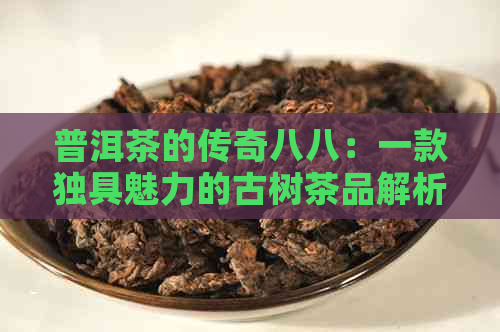 普洱茶的传奇八八：一款独具魅力的古树茶品解析