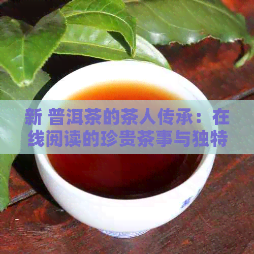 新 普洱茶的茶人传承：在线阅读的珍贵茶事与独特故事集