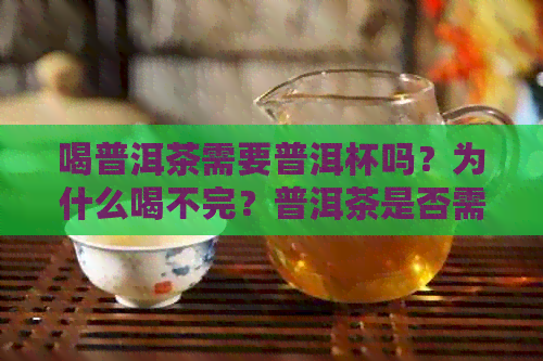 喝普洱茶需要普洱杯吗？为什么喝不完？普洱茶是否需要煮？