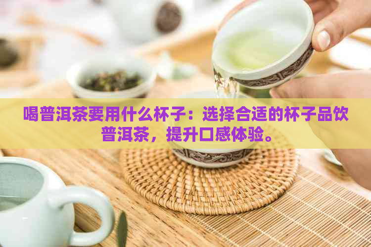 喝普洱茶要用什么杯子：选择合适的杯子品饮普洱茶，提升口感体验。