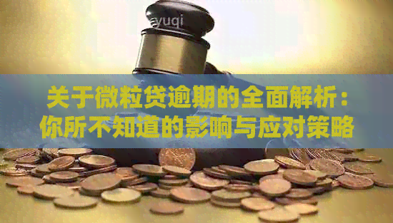 关于微粒贷逾期的全面解析：你所不知道的影响与应对策略