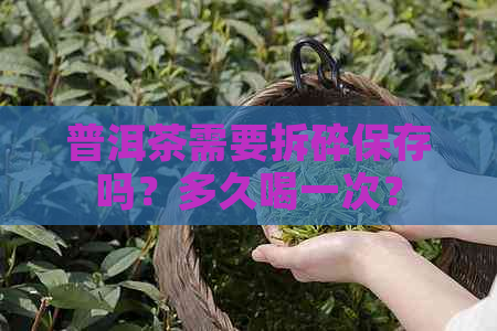 普洱茶需要拆碎保存吗？多久喝一次？