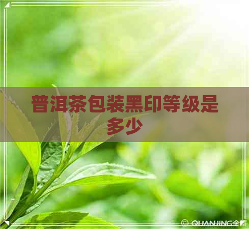 普洱茶包装黑印等级是多少