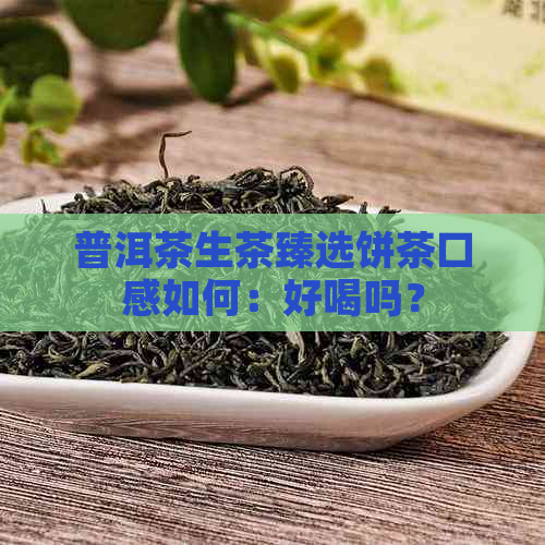 普洱茶生茶臻选饼茶口感如何：好喝吗？