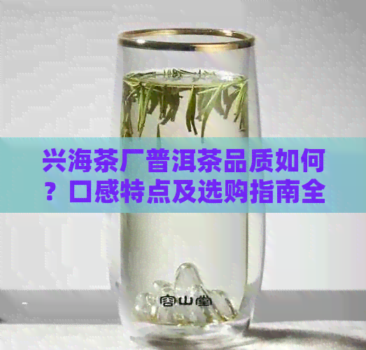 兴海茶厂普洱茶品质如何？口感特点及选购指南全解析