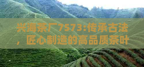 兴海茶厂7573:传承古法，匠心制造的高品质茶叶佳品