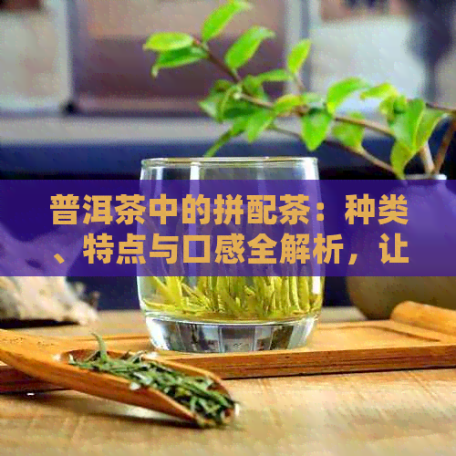 普洱茶中的拼配茶：种类、特点与口感全解析，让你了解这些独特茶叶！