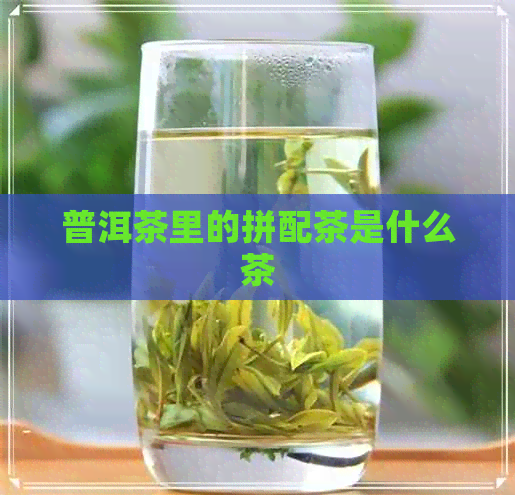 普洱茶里的拼配茶是什么茶