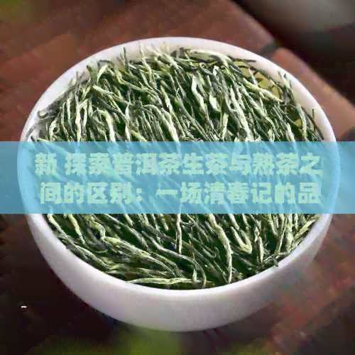 新 探索普洱茶生茶与熟茶之间的区别：一场清春记的品鉴之旅