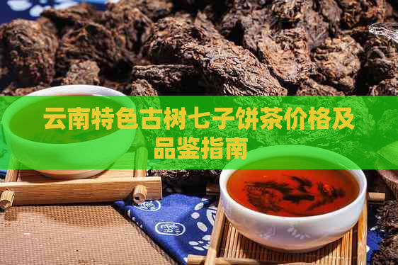 云南特色古树七子饼茶价格及品鉴指南