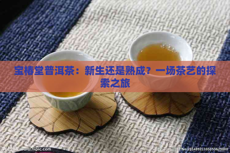 宝椿堂普洱茶：新生还是熟成？一场茶艺的探索之旅