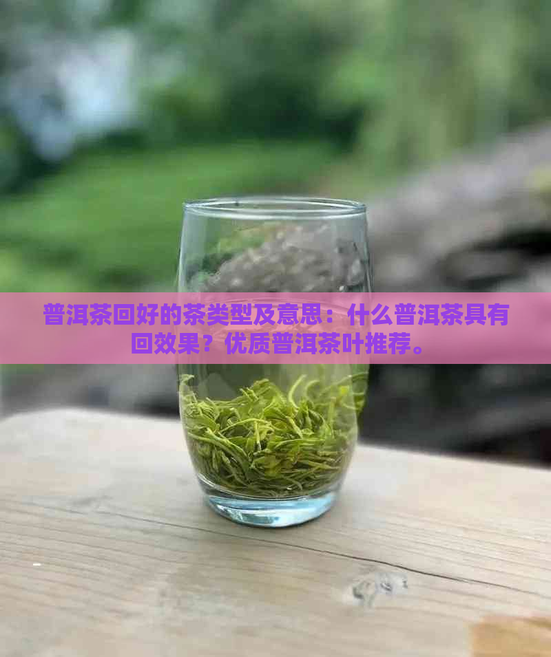 普洱茶回好的茶类型及意思：什么普洱茶具有回效果？优质普洱茶叶推荐。