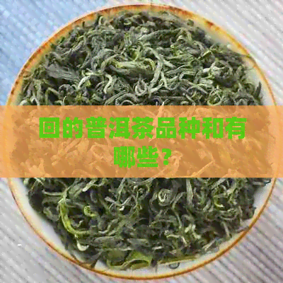 回的普洱茶品种和有哪些？