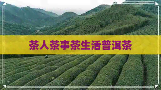 茶人茶事茶生活普洱茶