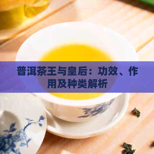 普洱茶王与皇后：功效、作用及种类解析