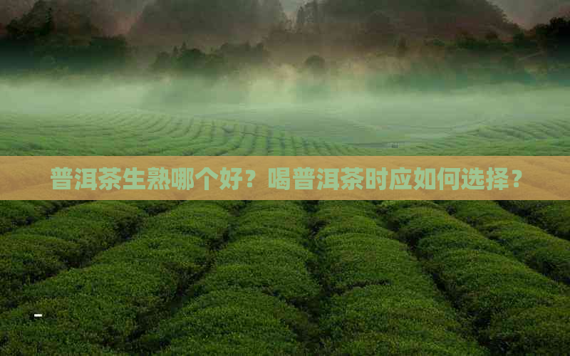 普洱茶生熟哪个好？喝普洱茶时应如何选择？