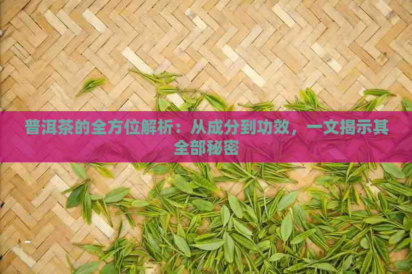 普洱茶的全方位解析：从成分到功效，一文揭示其全部秘密