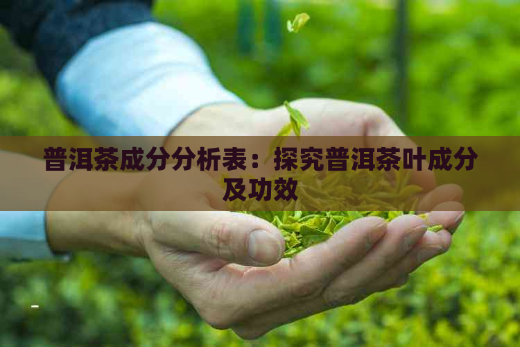 普洱茶成分分析表：探究普洱茶叶成分及功效