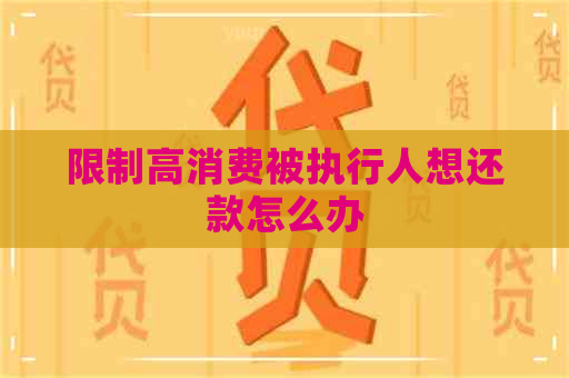 限制高消费被执行人想还款怎么办